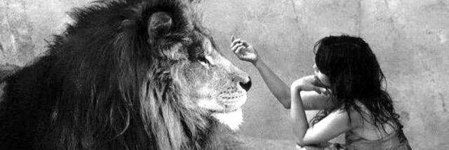 LittleLion_15's profile banner image