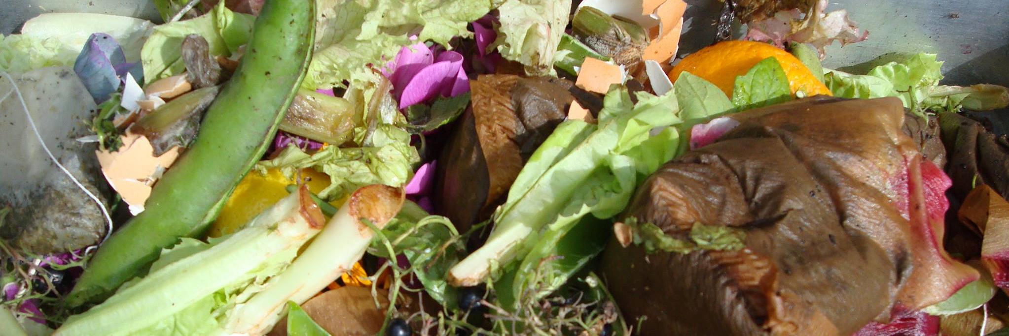 CompostBakkers's profile banner image