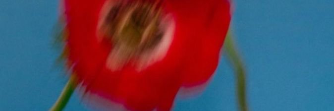 mrtttcs's profile banner image