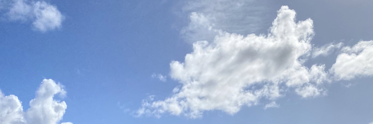 LillianFata's profile banner image