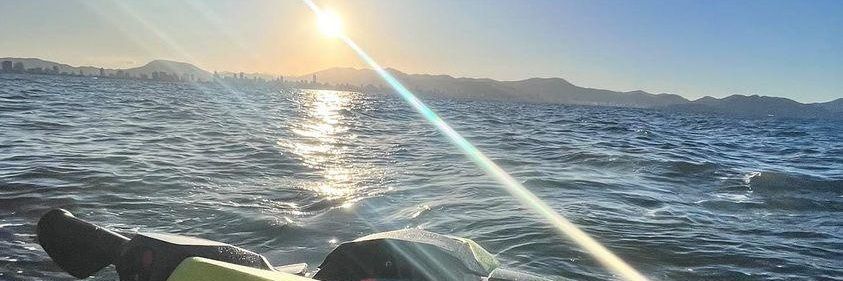 alisson_peixer's profile banner image