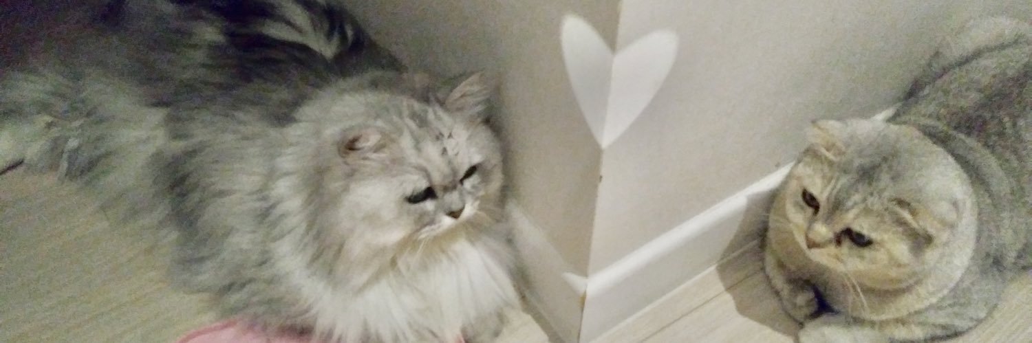 푸르푸르 banner