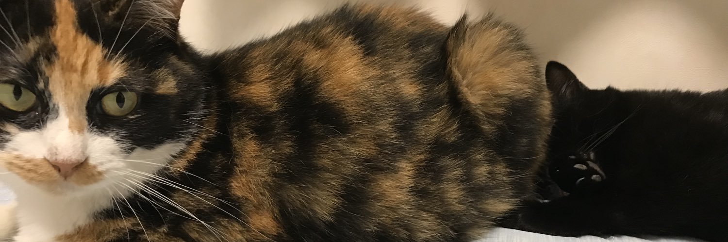 keei8087's profile banner image