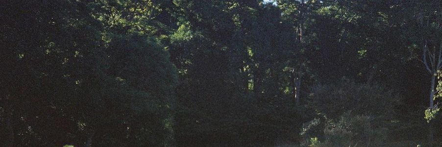 565cm's profile banner image
