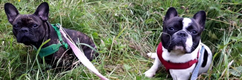 Per-seff-oh-knee banner