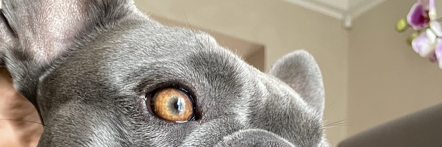 Matteosp_'s profile banner image