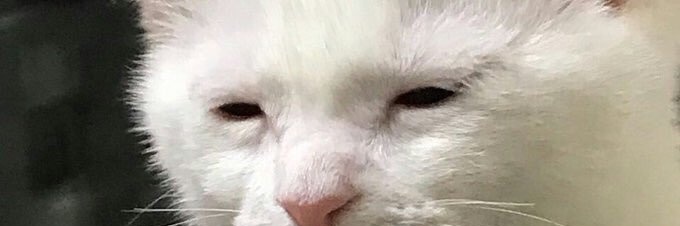 DRCEBO_CTP's profile banner image