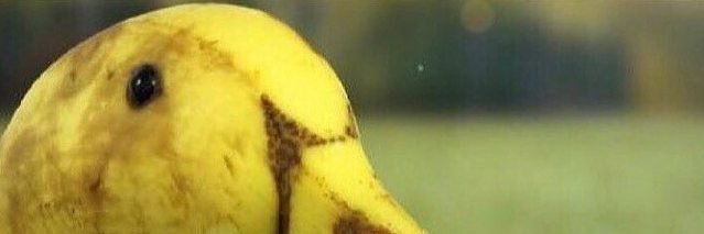 Ebintyu0000000's profile banner image