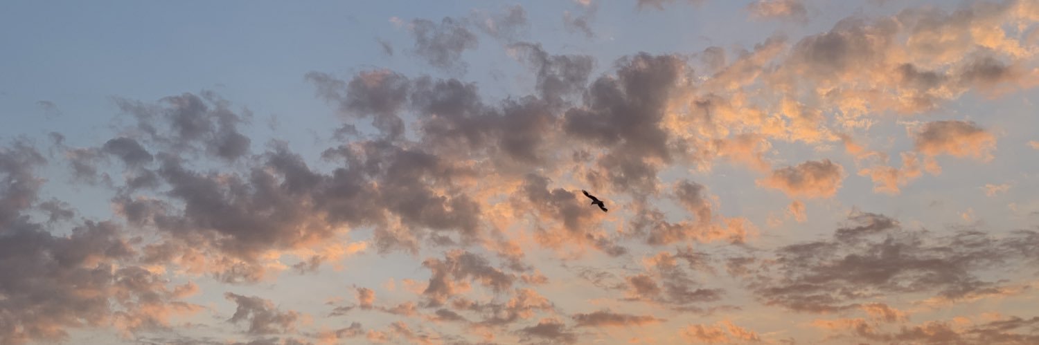 juliettectrs's profile banner image