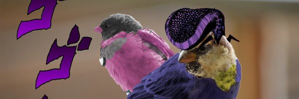 FrumpRumpSkunk Profile Banner