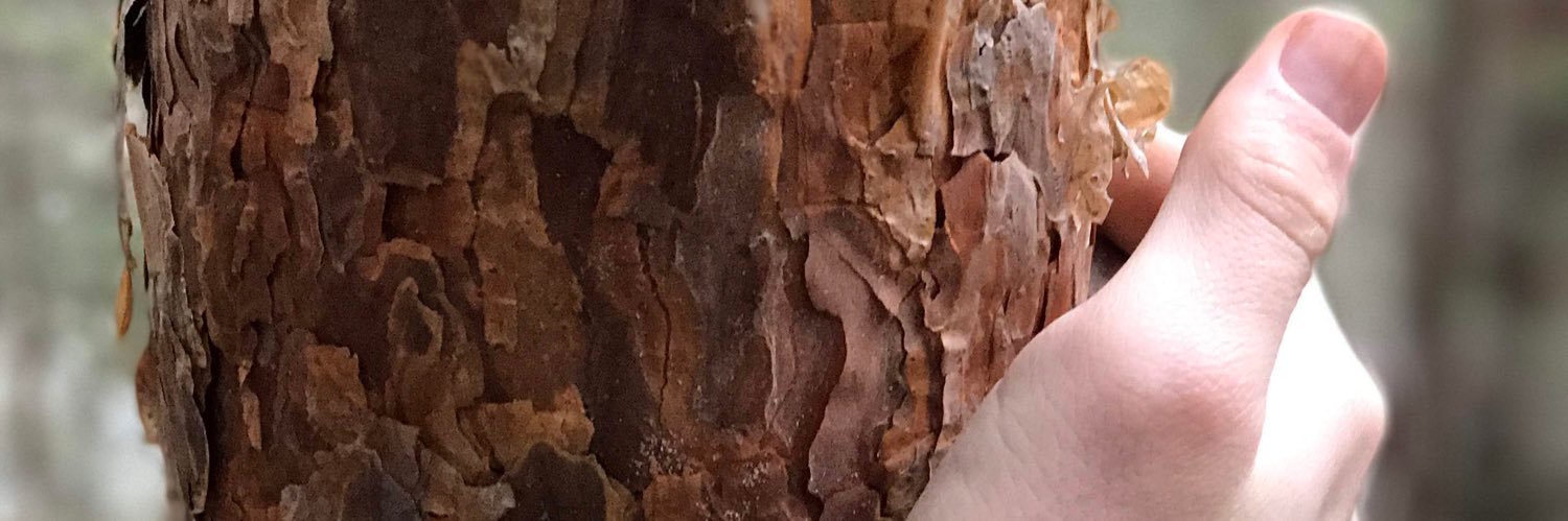 GhCPsychol's profile banner image