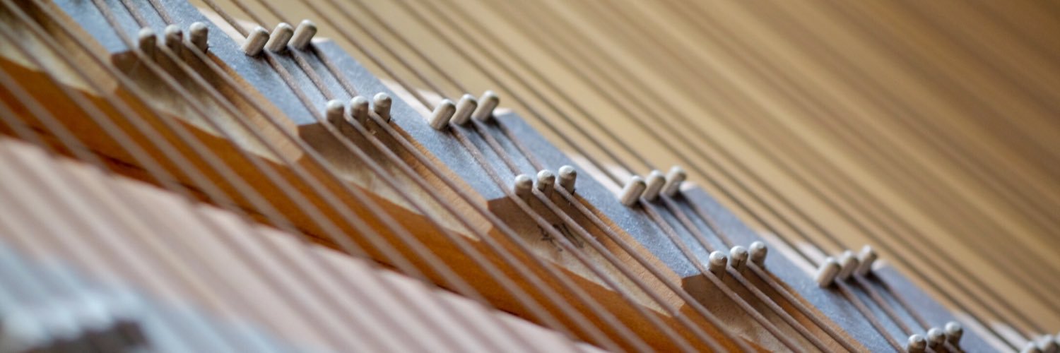 bmmutlu's profile banner image