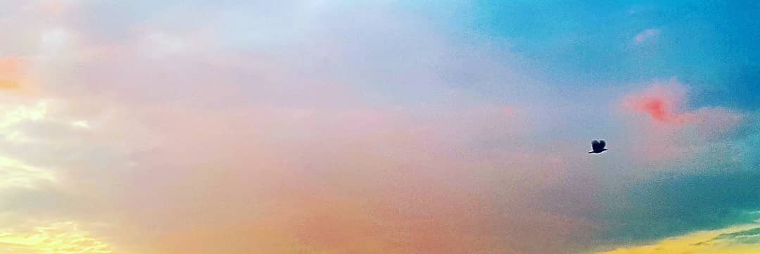 LOtusglc's profile banner image