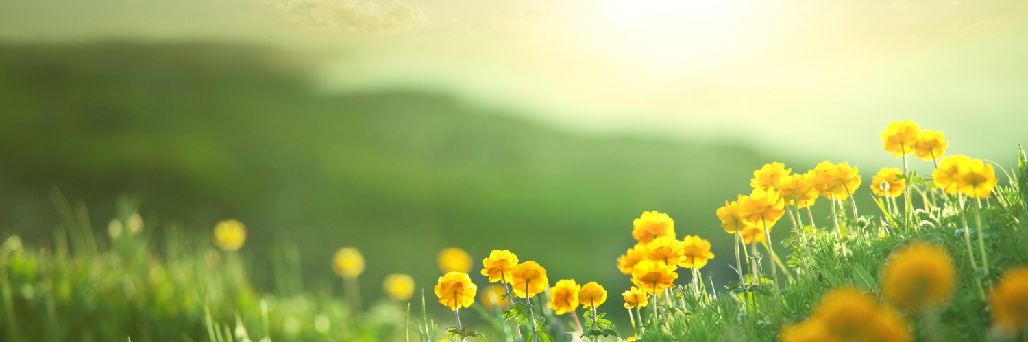 ochida_d's profile banner image