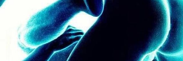Dach4shunD's profile banner image