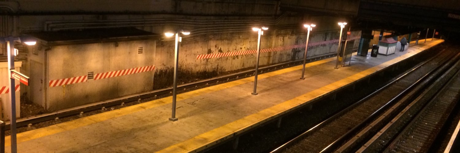 tzviraps's profile banner image