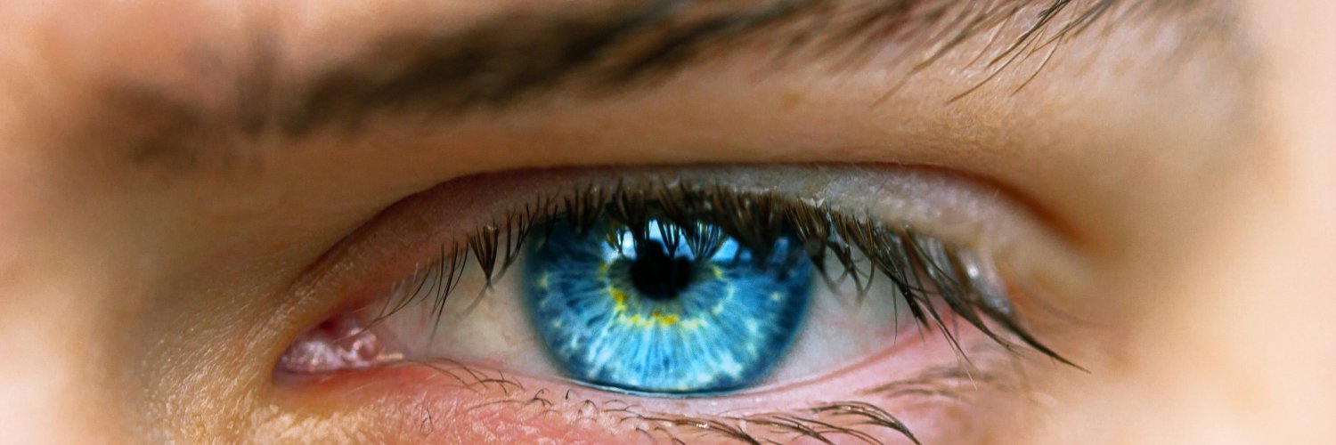 Blue_eyes banner