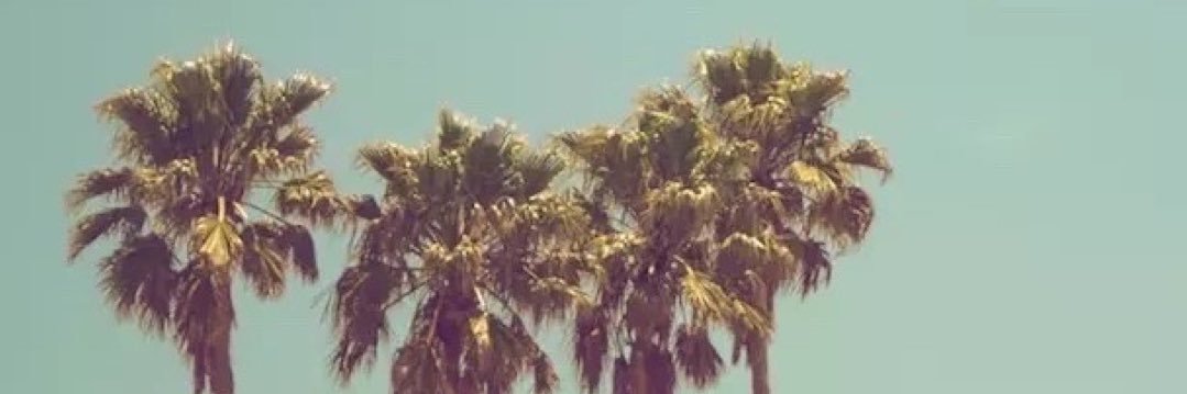 Sedaksakall's profile banner image
