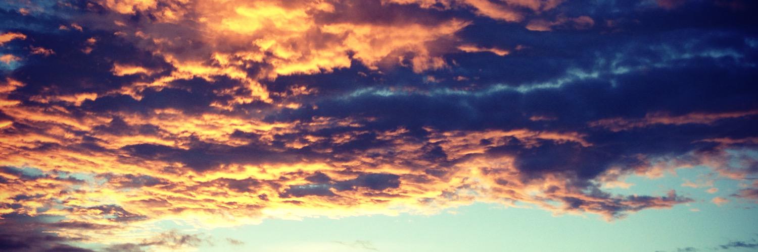 Laura Clarke (Schwab) banner