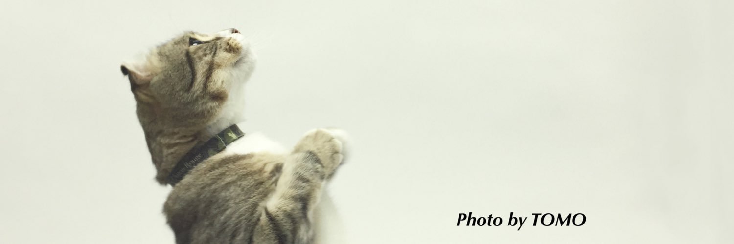 ChatonRouge_S's profile banner image