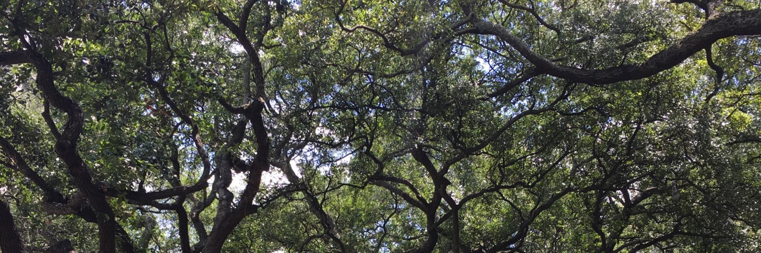 AshleyDDean92's profile banner image