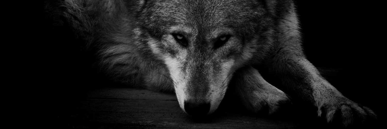 luv_william's profile banner image