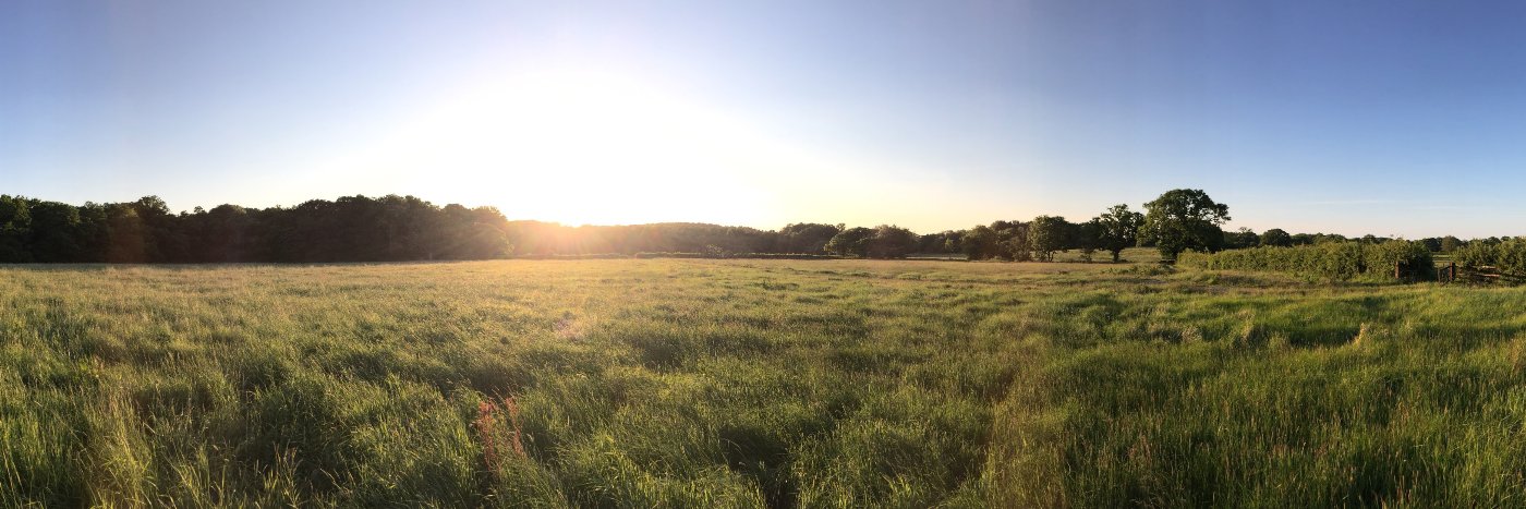 42_Acres's profile banner image