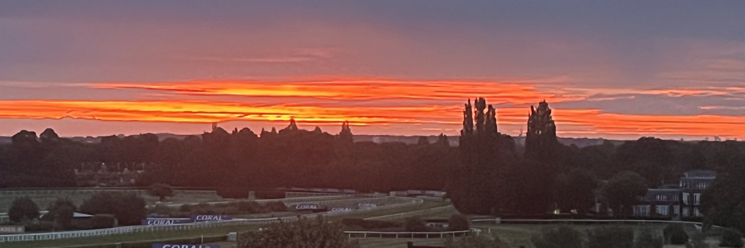 Andy the Viking banner