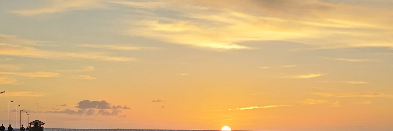 alap2027's profile banner image