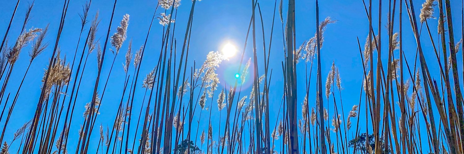 BethBerkeley's profile banner image