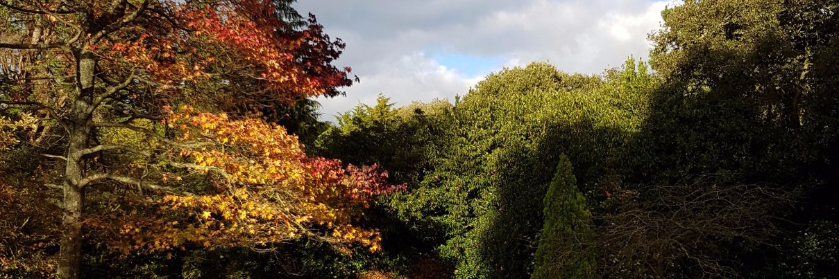 Stephen Hendry banner