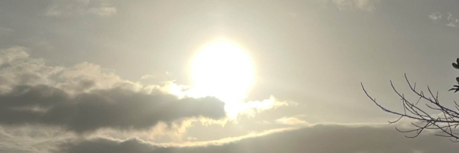 slymal_'s profile banner image