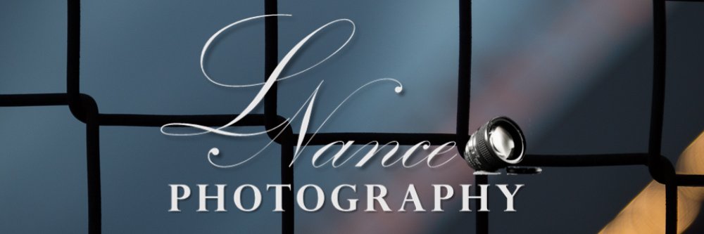 LNancePhoto's profile banner image