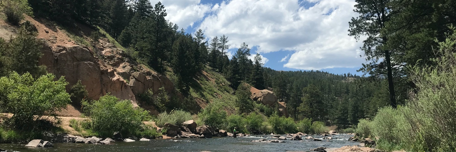 Layla Freeborn banner