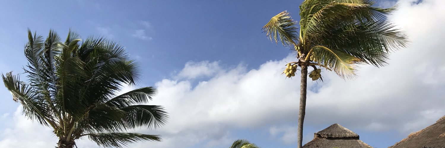 GinyB1's profile banner image