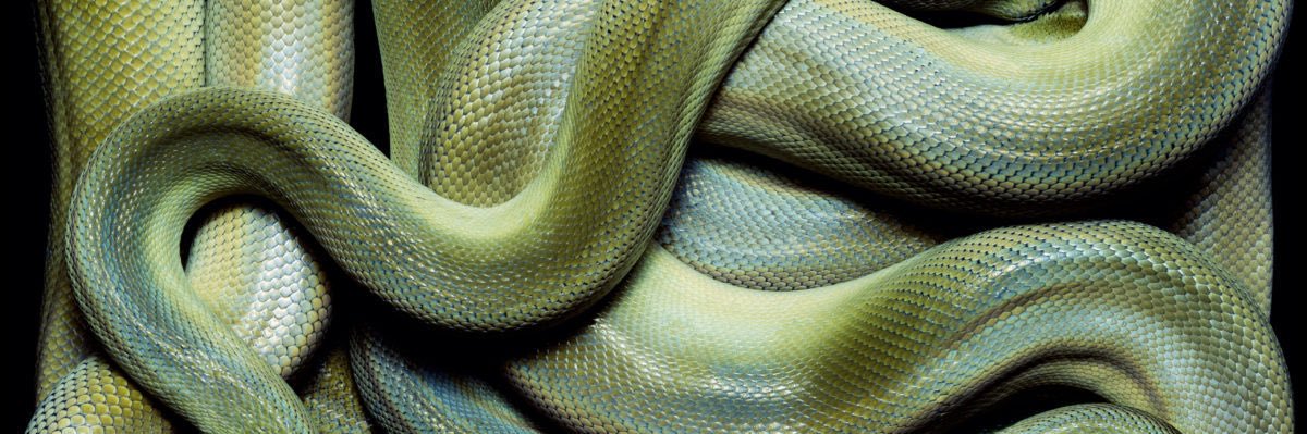 virgo’s goofiest. banner