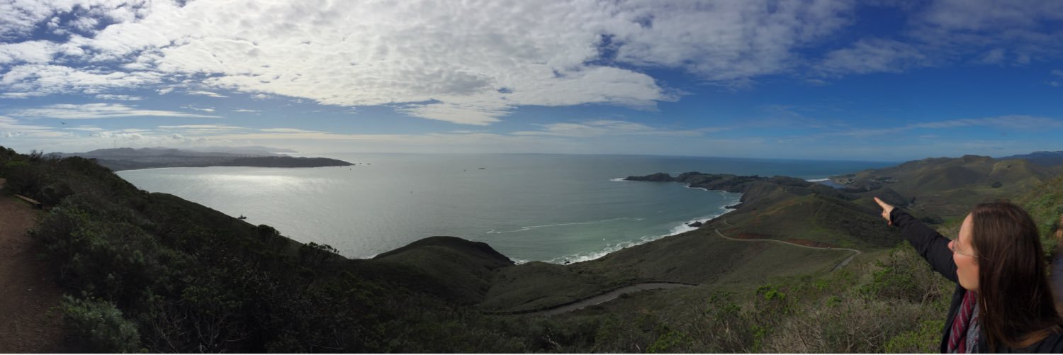 thomas patrick levy banner