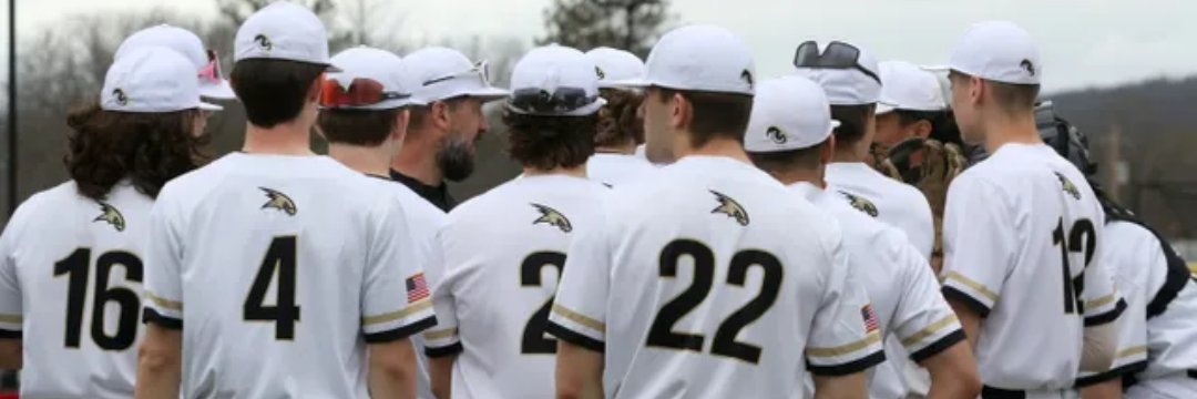 CPPBaseball's profile banner image