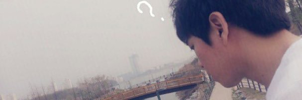 lemonfarms's profile banner image