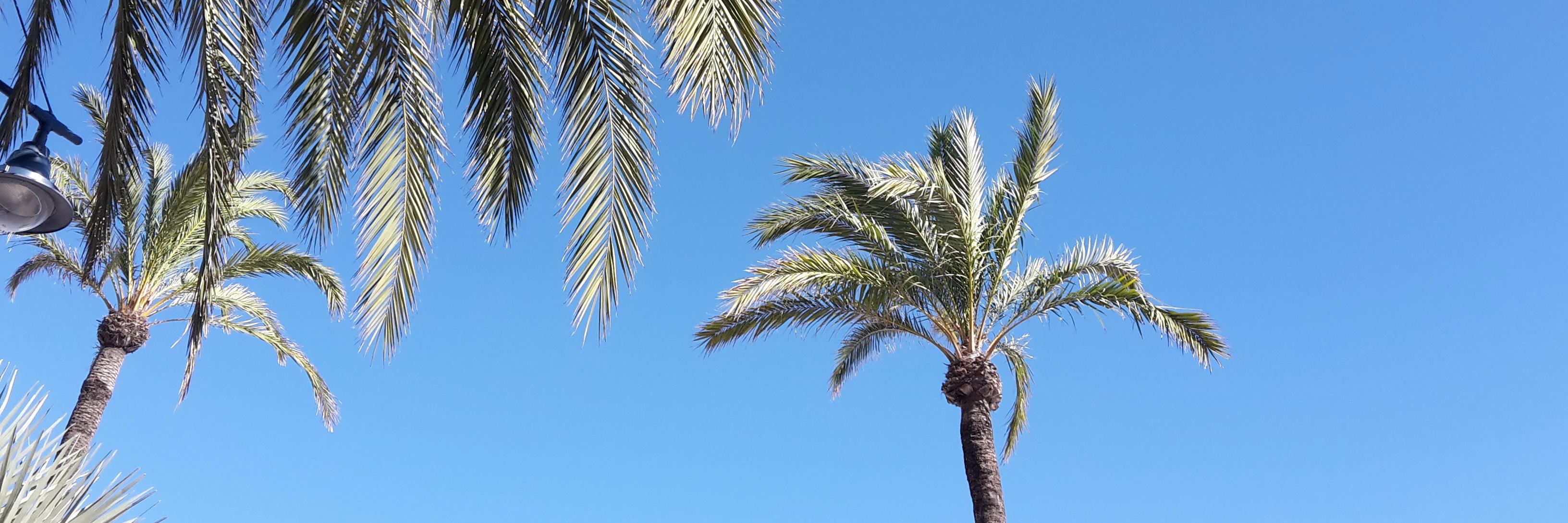 ReduntilUdead banner