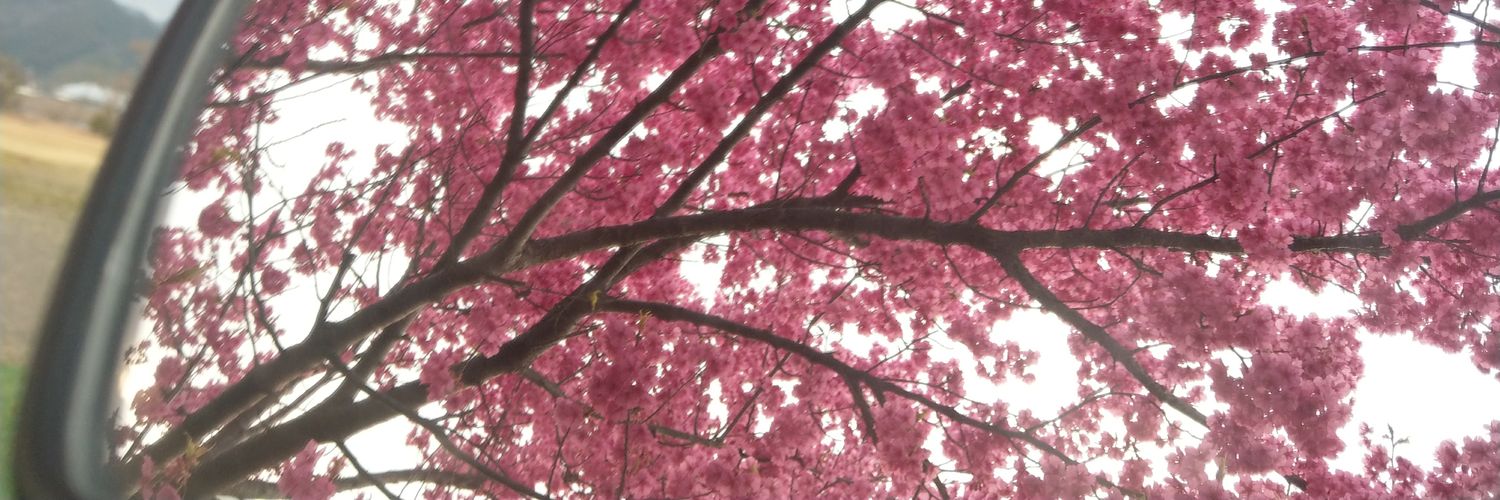 amakoituka's profile banner image