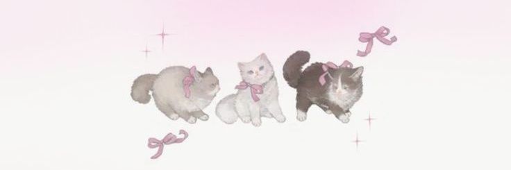 sawako 𝜗𝜚 | order by wa banner