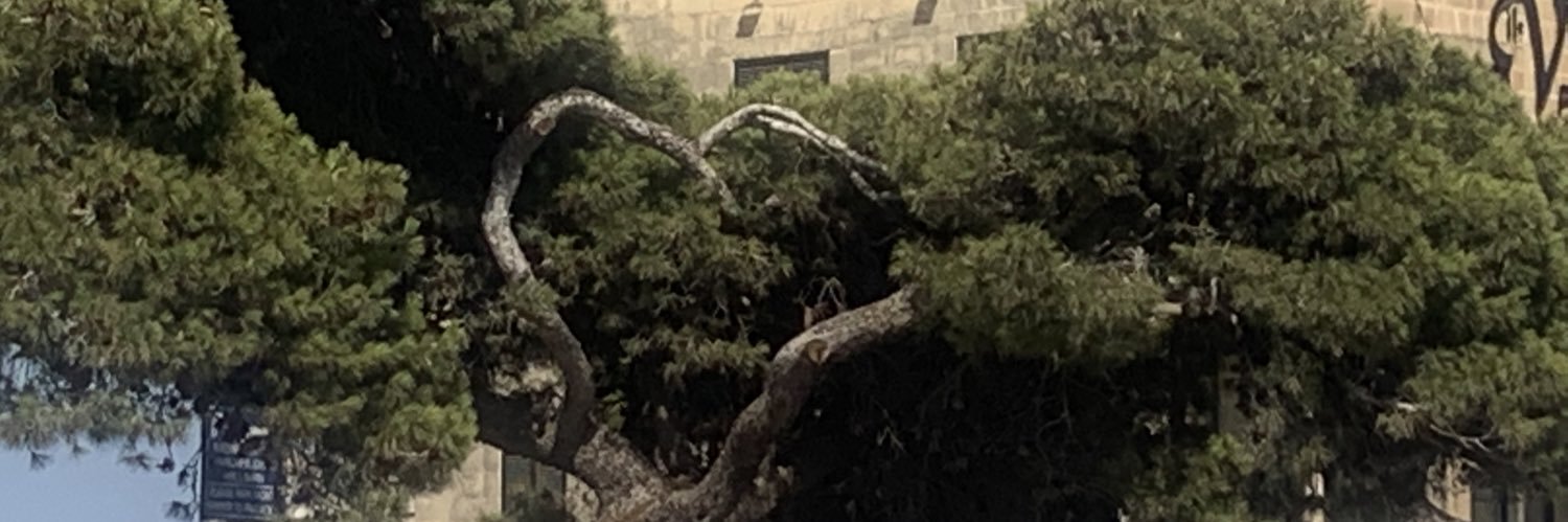 Danni banner