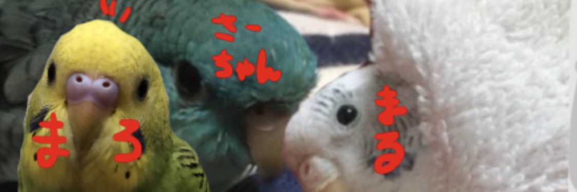 やまし🦉 banner