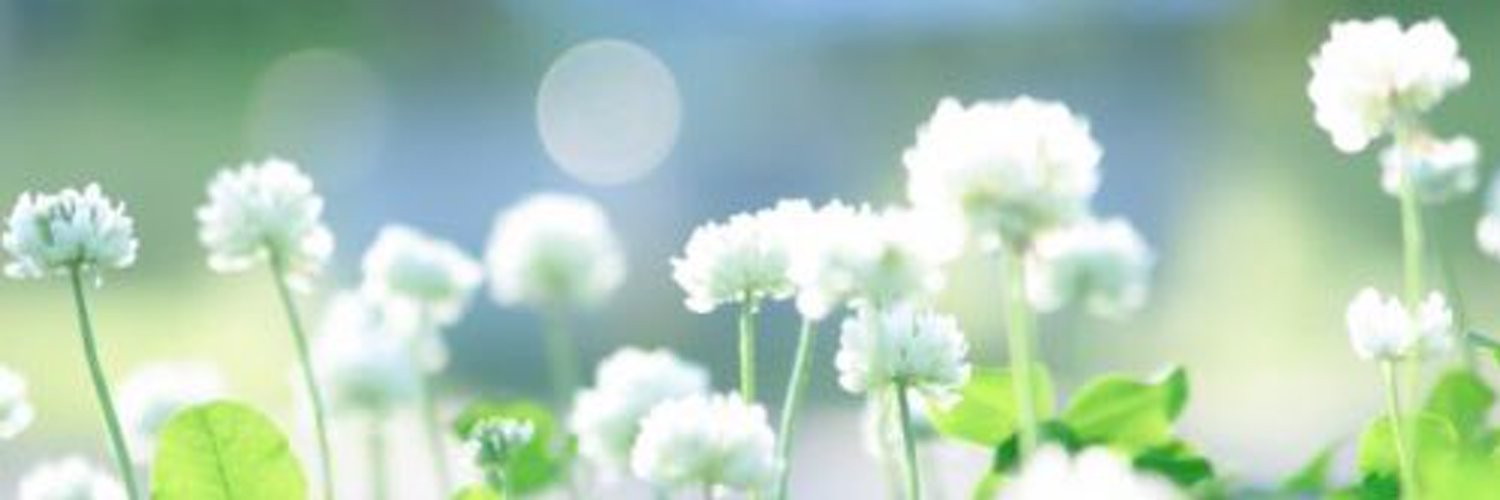 726s_k's profile banner image