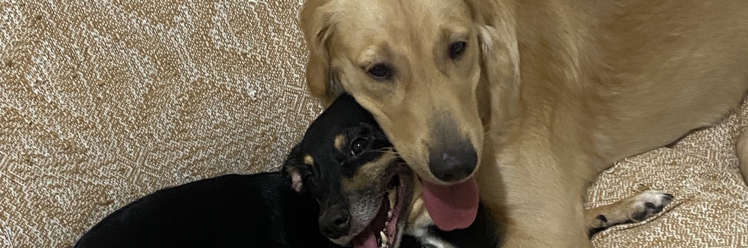 VitorJo3's profile banner image