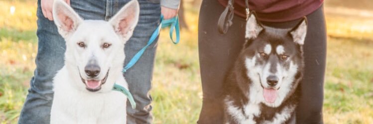 whitneylee78's profile banner image