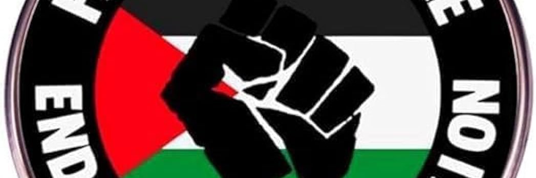 ✨🇵🇸✨ banner