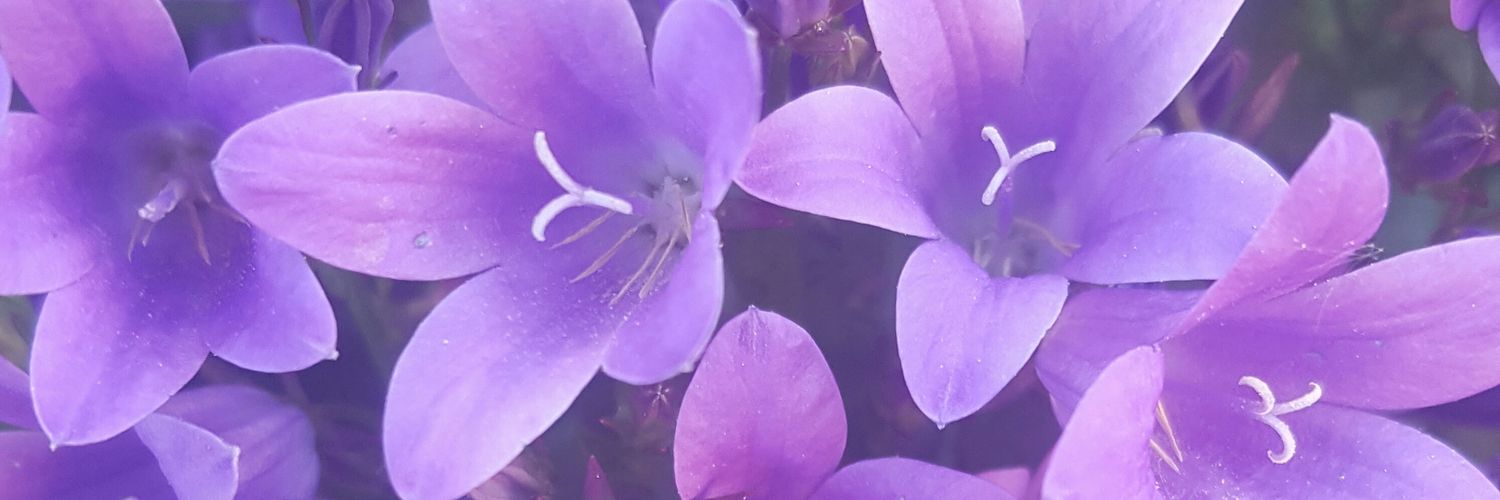 LucyLondonStyle's profile banner image