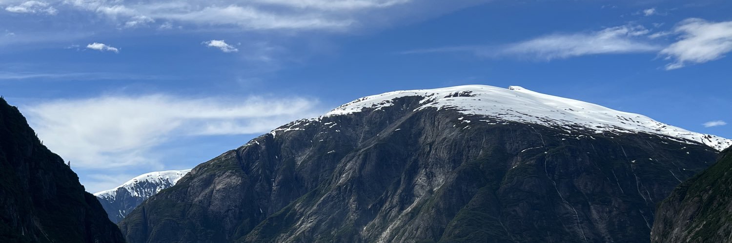 LiAPlie's profile banner image